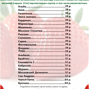   2024. - scd-ural.ru